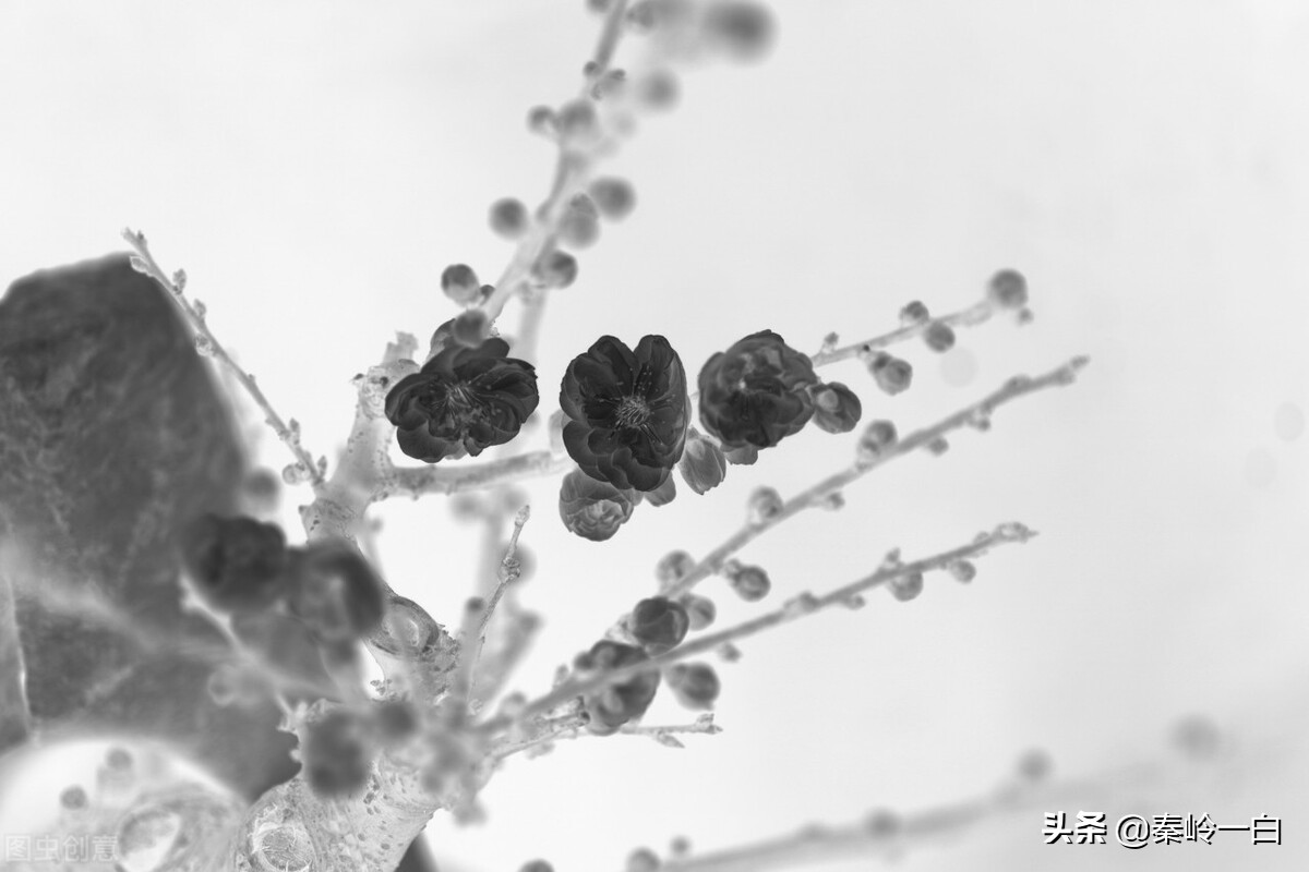 王冕是元朝末年的著名诗人与画家,元朝著名画家王冕的书画作品欣赏