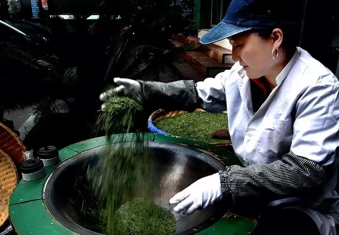 贵山贵水出处,世界茶叶三大发源地