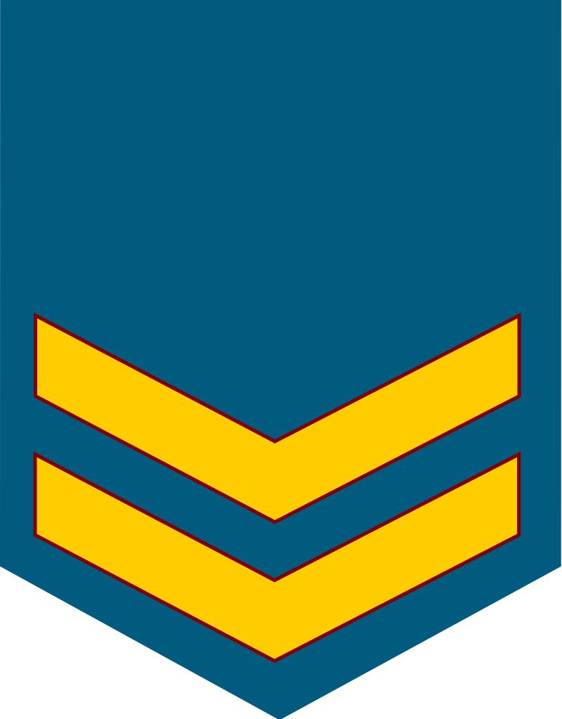 民国国军军装军衔标识,马来西亚军队军衔图集