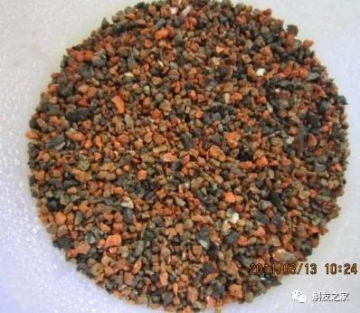 石斛兰用苔藓包着水培不烂根吗,石斛兰花烂根要怎么挽救