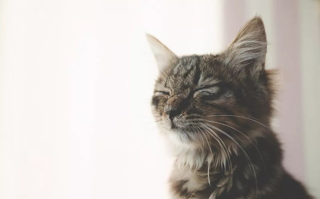 深圳富人日常生活真实记录,在深圳普通人最真实的生活状态