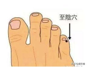 夏天艾灸好还是冬天艾灸好,春天艾灸好还是夏天艾灸好