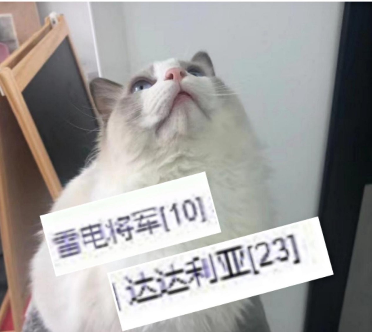 原神2.4版本抽卡攻略,元神玄学抽卡2.0版