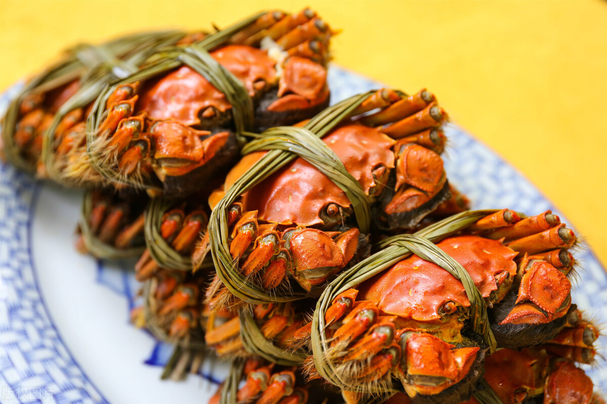 青蟹也是海蟹为什么死了不能吃,活蟹和死蟹一起吃吗