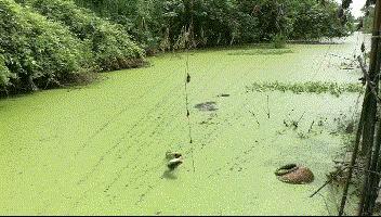 路亚拟饵打捞神器,路亚弹射抛投器
