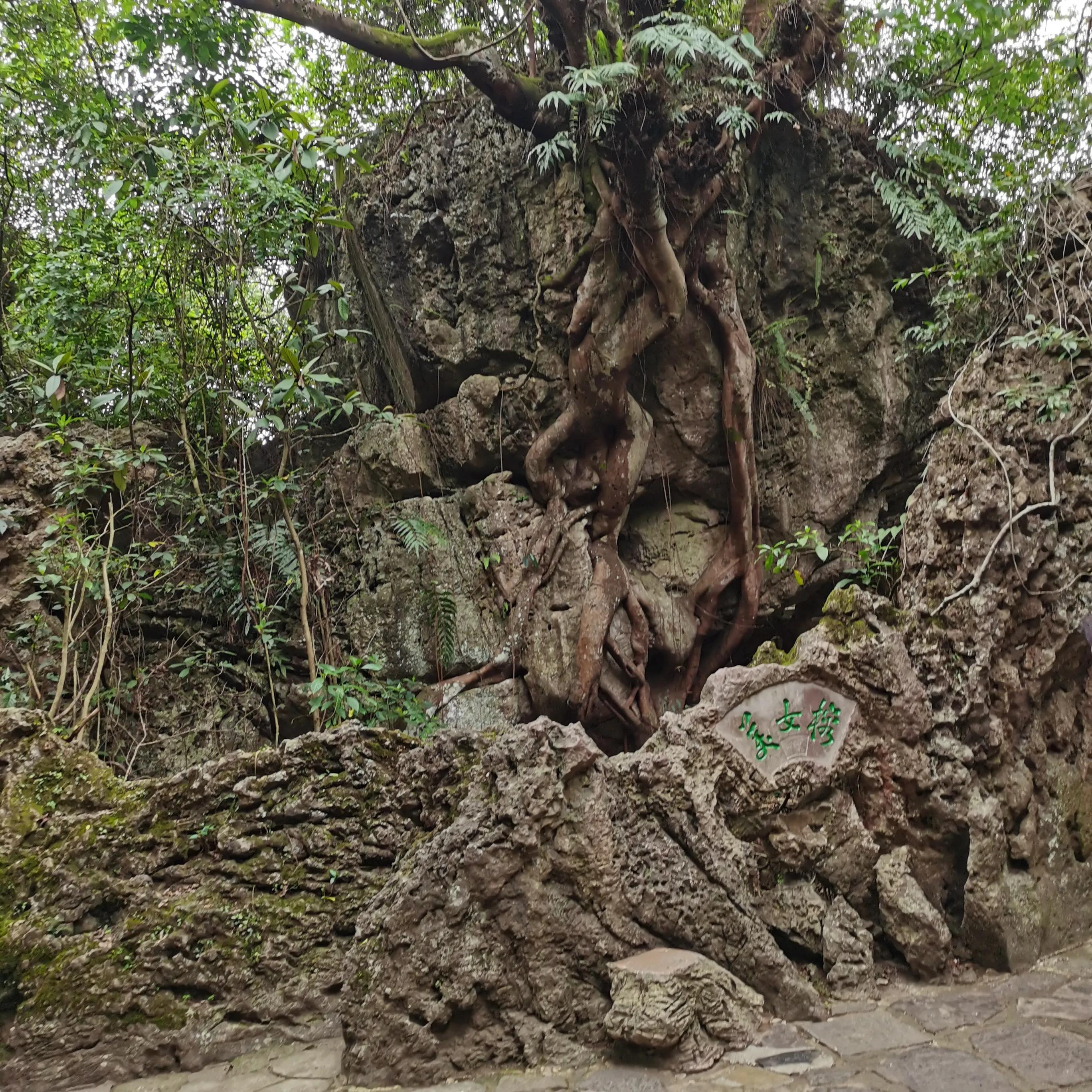 向南方和向北方,登上山顶看美景贵州黄果树瀑布