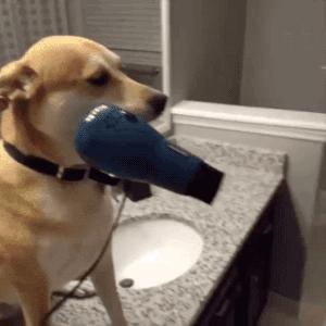 白头发拔了长出来太短了好难看,白头发拔一根少10根