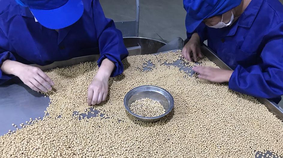 广特播报栏目,广特播报上海