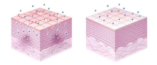 科颜氏抗初老精华露元气弹,科颜氏小白瓶跟元气弹