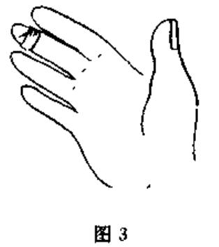 魔术报纸变鸽子揭秘,魔术中变鸽子是怎么变出来的
