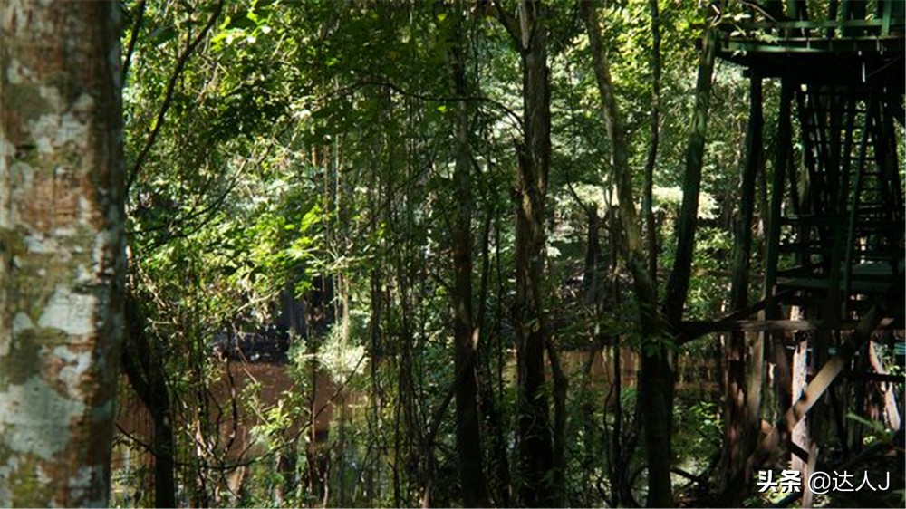 小天独家的全部视频,小天全国自驾