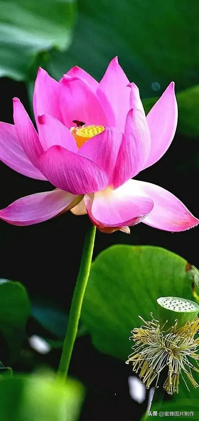 大自然山水美景壁纸全屏,美景壁纸4k全屏