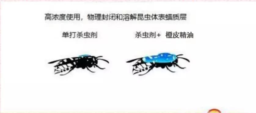 有机硅与橙皮精油,有机硅助剂和橙皮精油