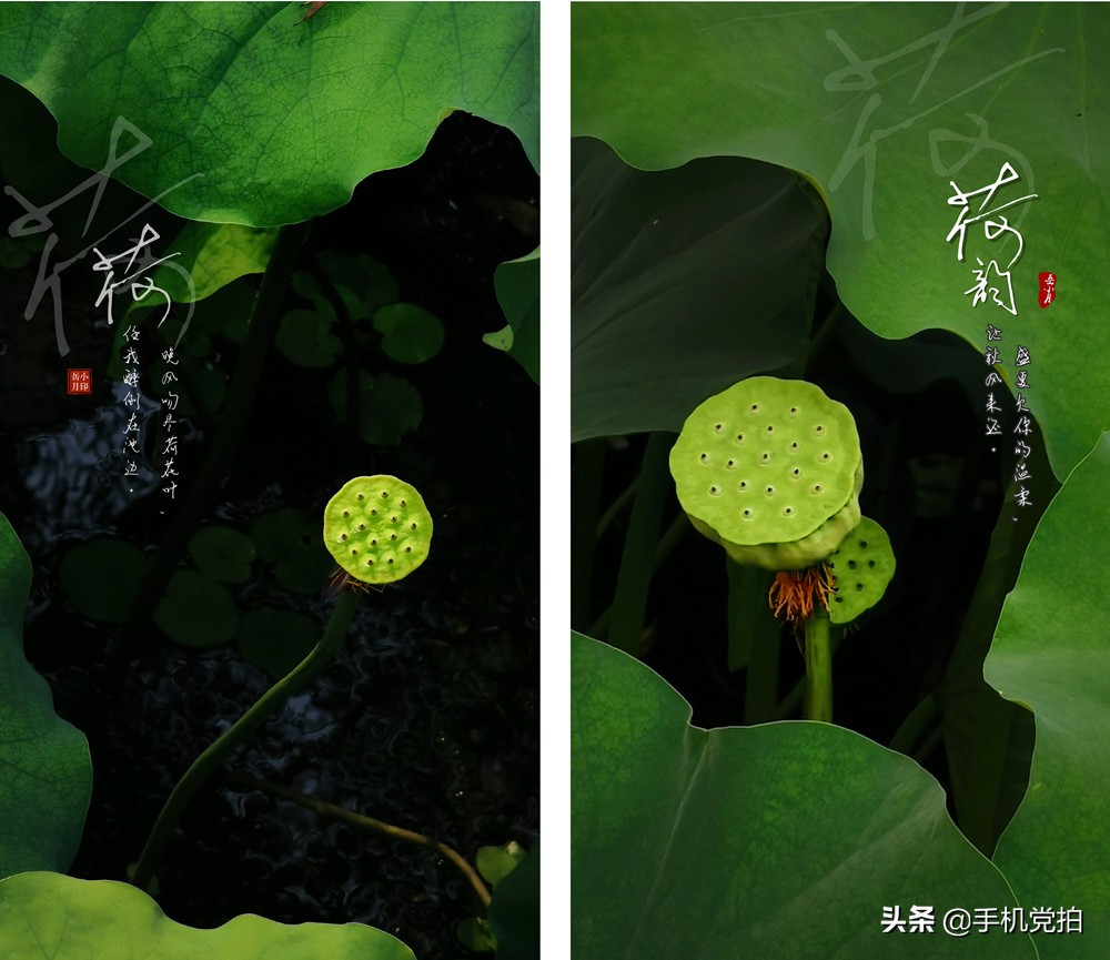 给照片加复古小印章,用美图制作印章