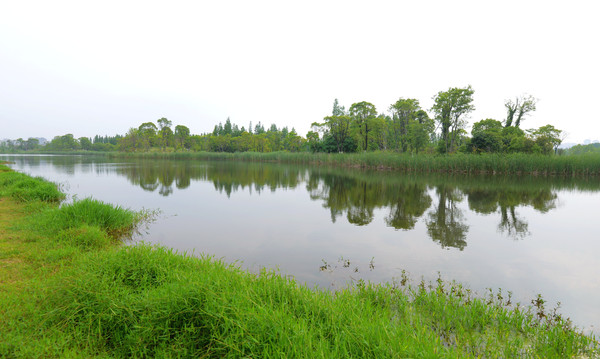 南昌动物园哪里有大象,南昌大象公园