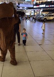 这只鹦鹉一直以为他是一只猴，所以每天都在重复做这个动作