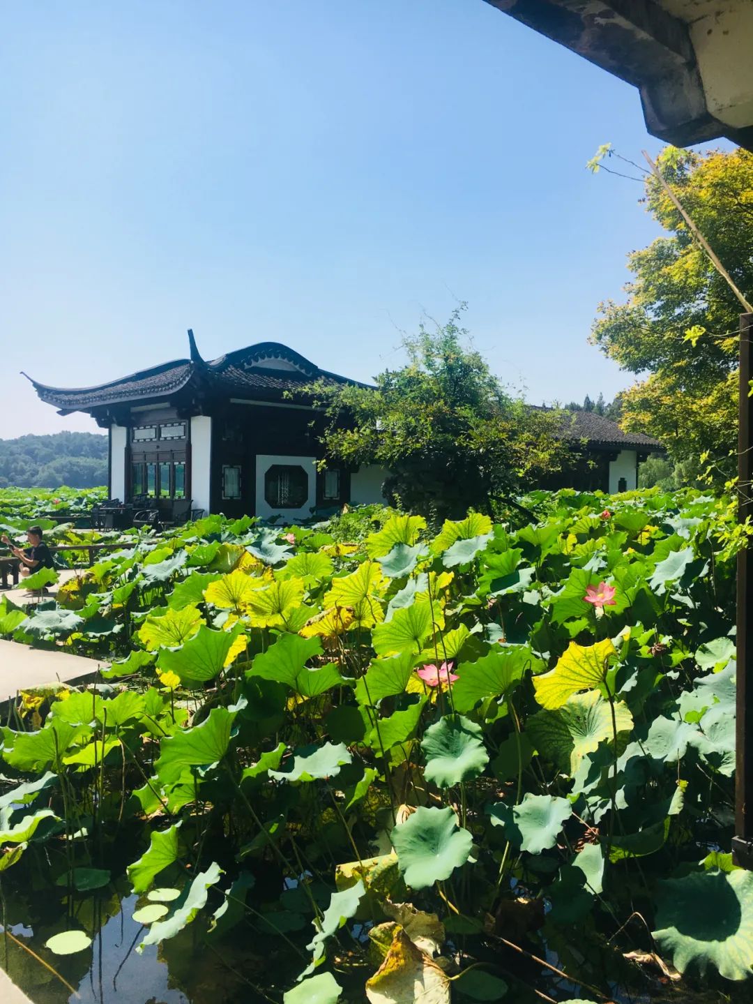 怀孕的那些事带字图片,怀孕的那些事之妊娠保健