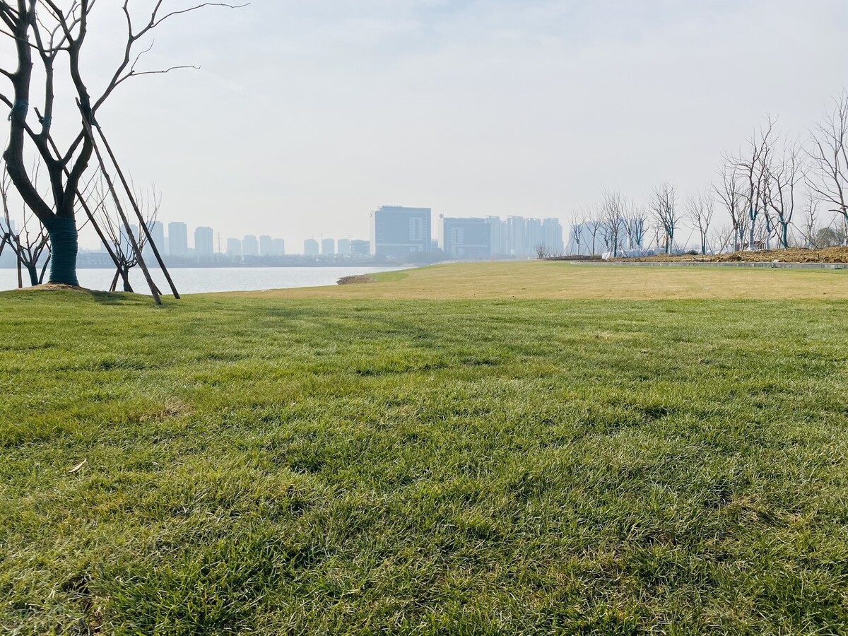 合肥小庙运河新城最新消息,小庙运河新城2020-2030总体规划图