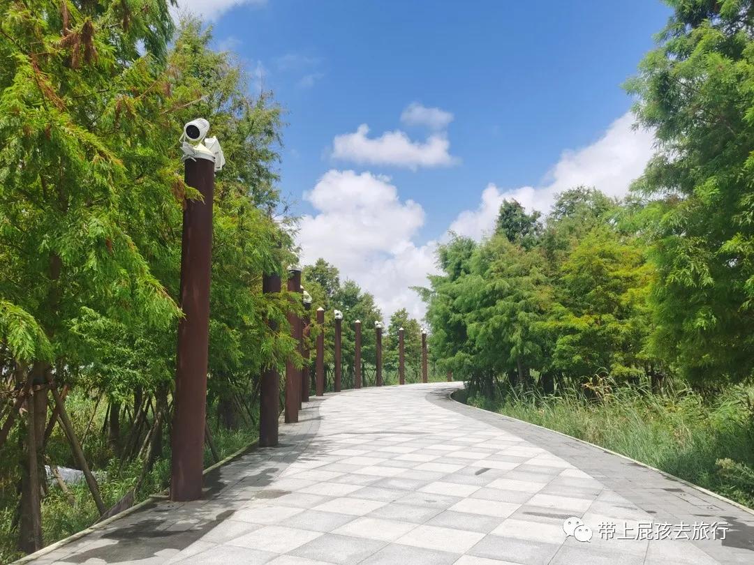 上海天文馆2个小时攻略,人气爆棚的上海天文馆