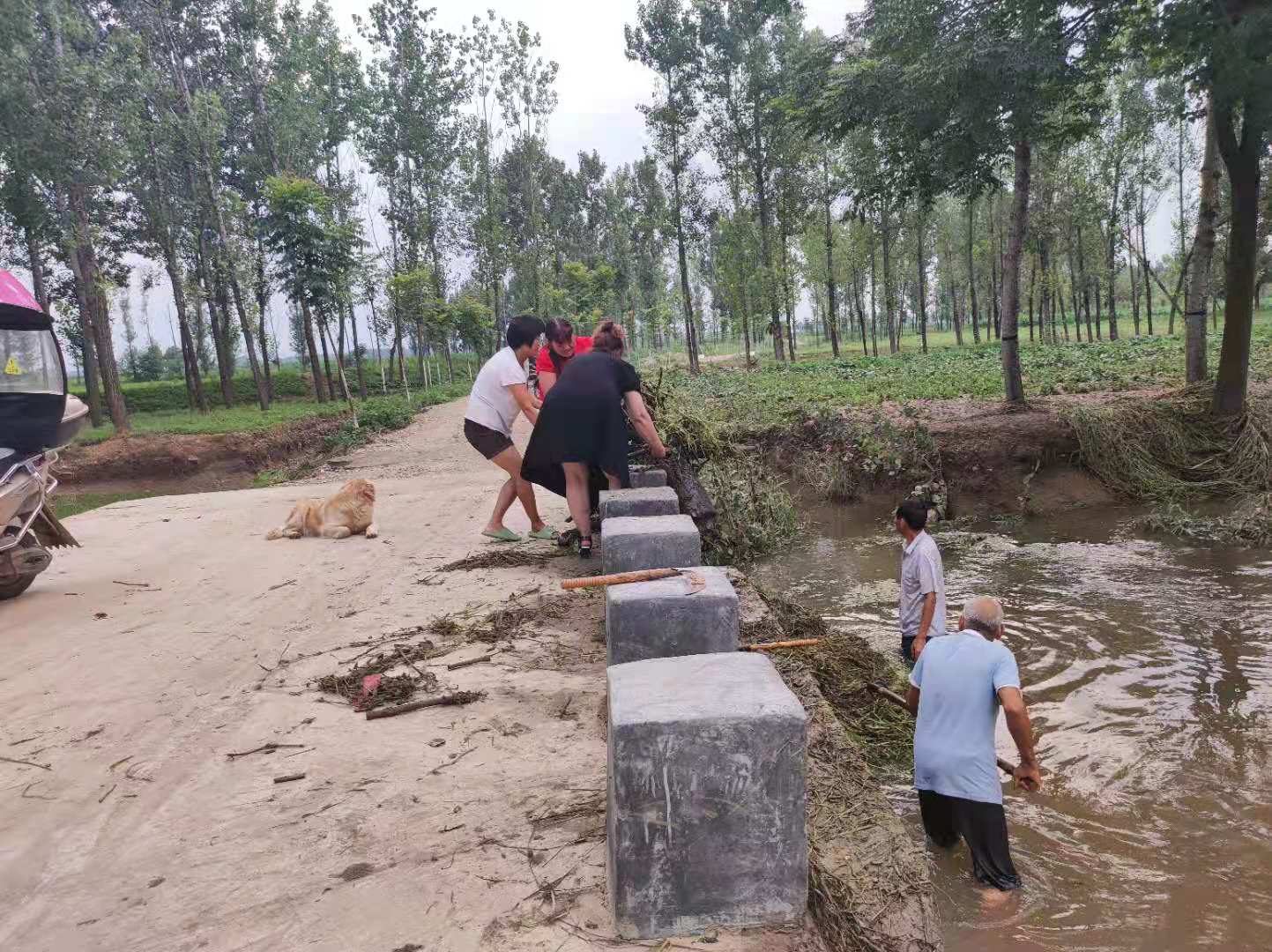 让党旗在防汛抗洪一线高高飘扬,党徽在防控一线熠熠生辉