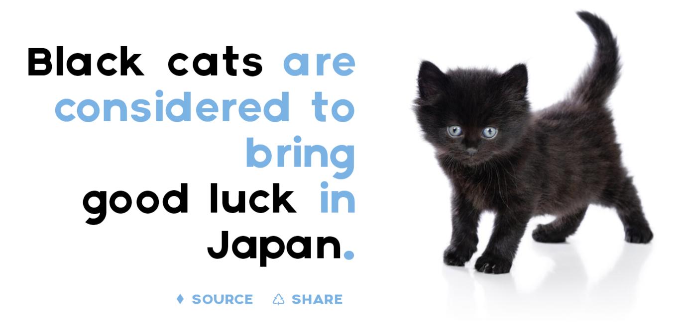 盘点十个日本的奇葩冷知识,你不知道的那些日本奇葩事