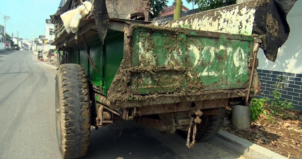 鸡粪牛粪猪粪羊粪发酵有机肥,猪粪和鸡粪哪个有机肥效果好