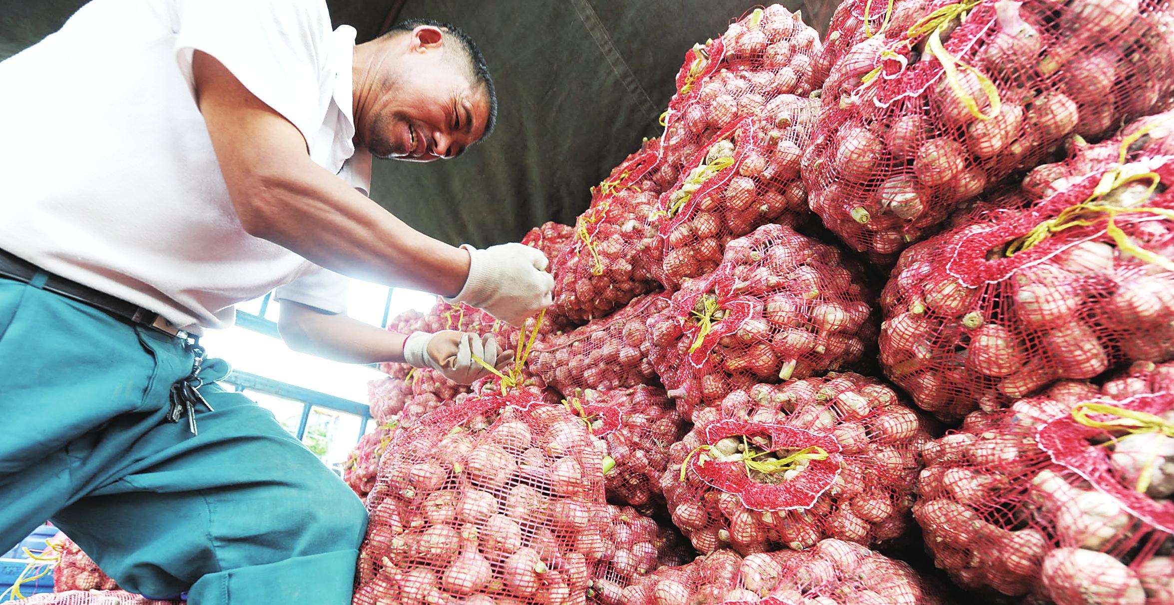 2018年7月2日大蒜行情走势,今年四月份最新大蒜行情