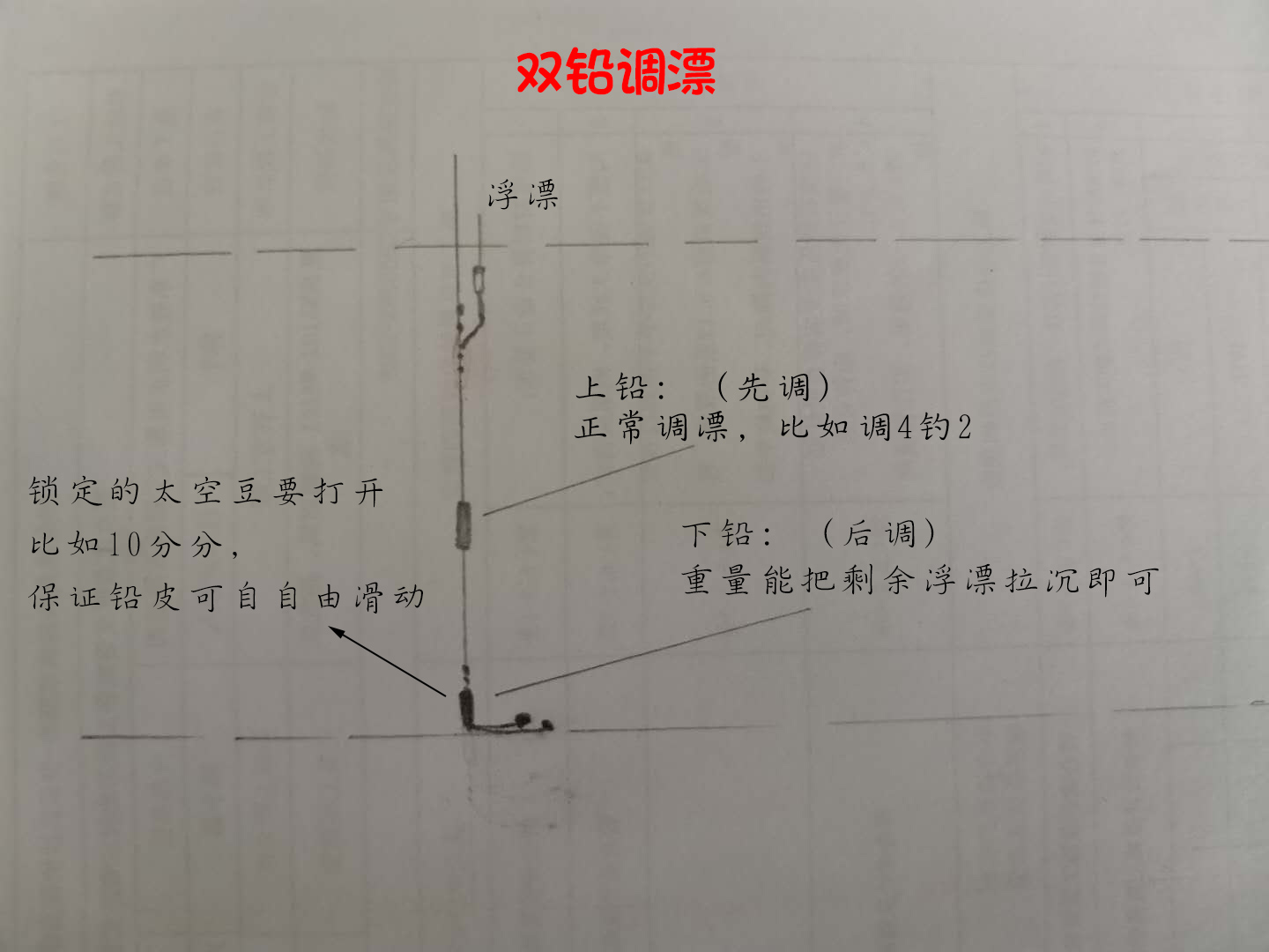 妄想山海鲮鱼成熟后怎么进阶,钓鲮鱼1.5主线0.8子线可以吗