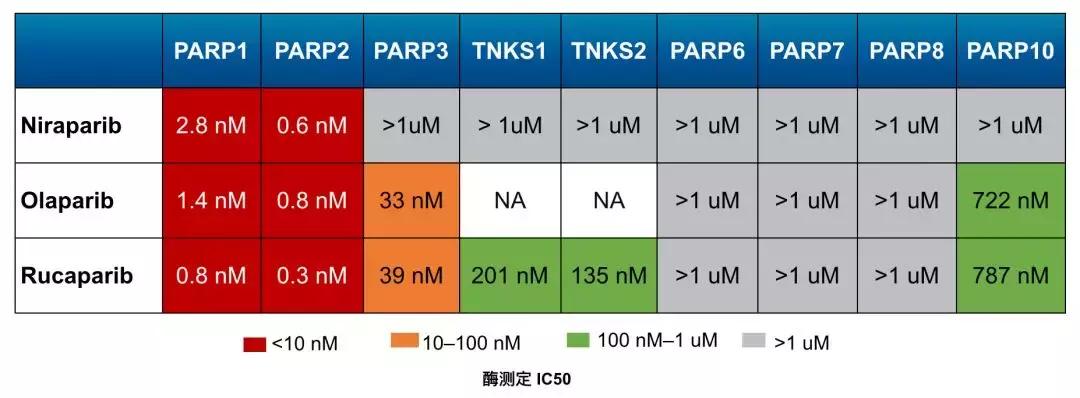 科学家找到癌细胞,科学家找到癌细胞的生死开关论文