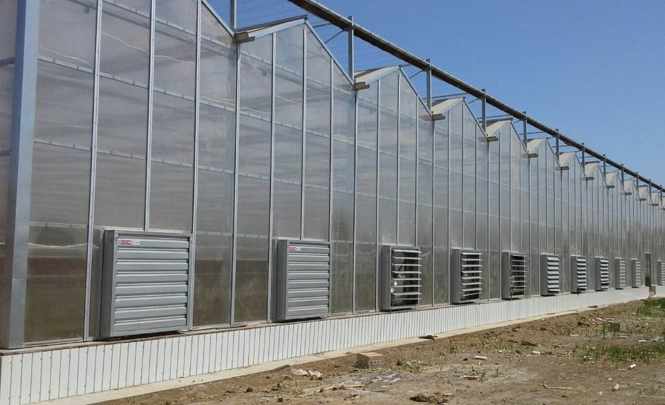 阳光板温室大棚优缺点,阳光板温室大棚室内效果