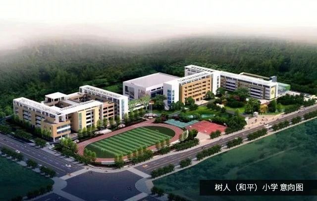 为什么提到树人小学,树人小学为什么好