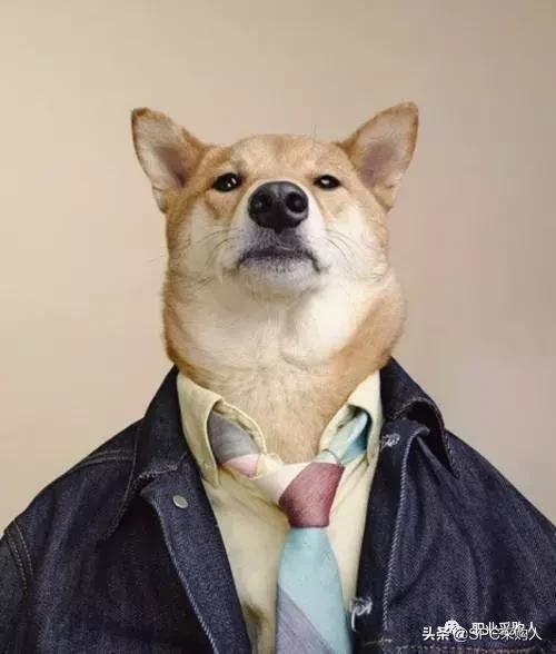 采购这份工作好做吗,采购员工有前途吗