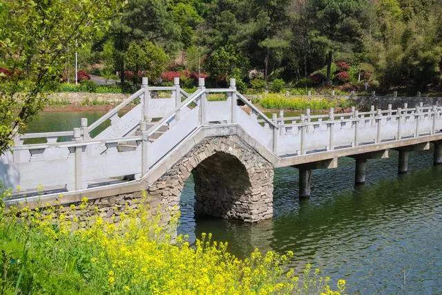 疫情过后一起来踏青吧,疫情过后一起去山花浪漫处