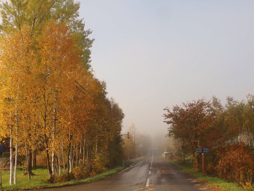 北海道登别到美瑛町需多久,日本北海道美瑛川的雪景