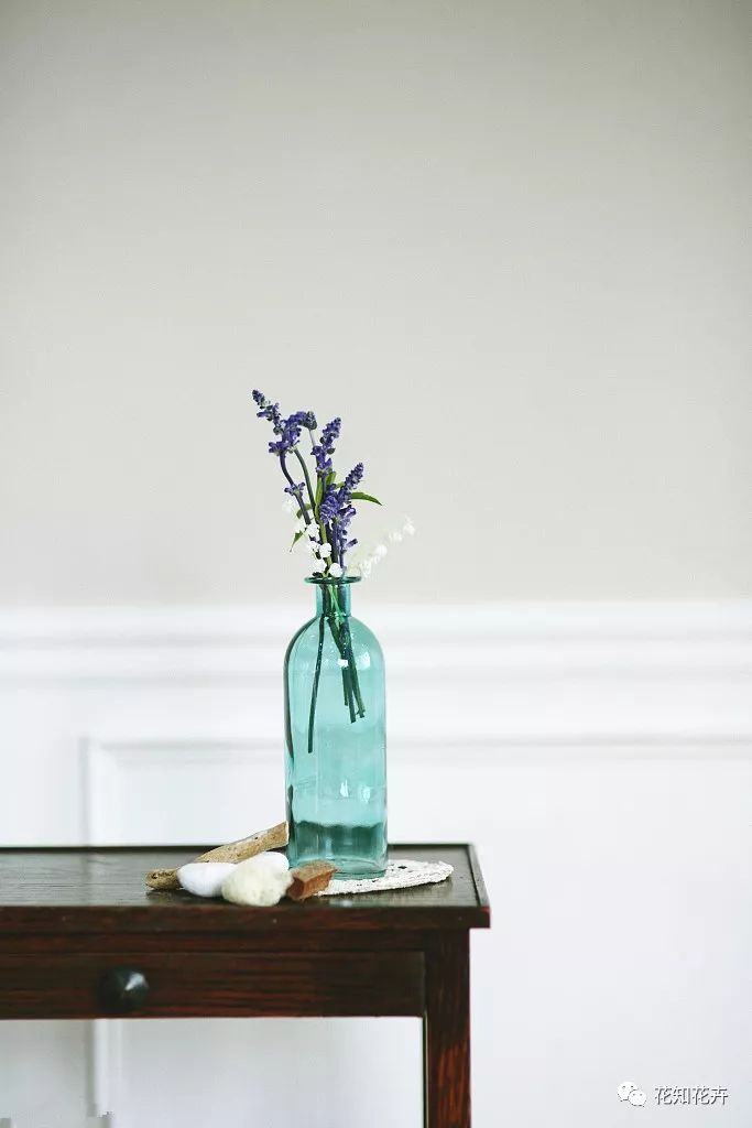 薰衣草真假精油的鉴别方法,熏衣草干花真假辨别