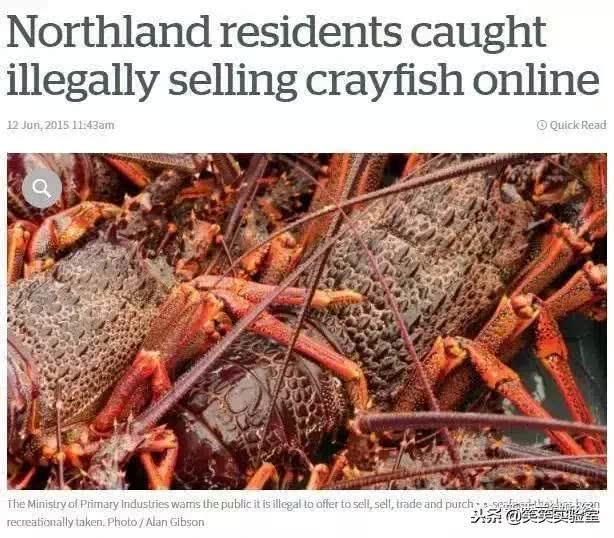 黑帮里面的钱和武器,黑帮用的东西是什么