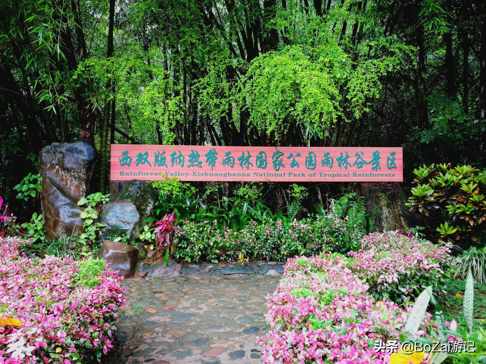 云南旅游攻略最佳线路洱海,到云南旅游必去景点推荐