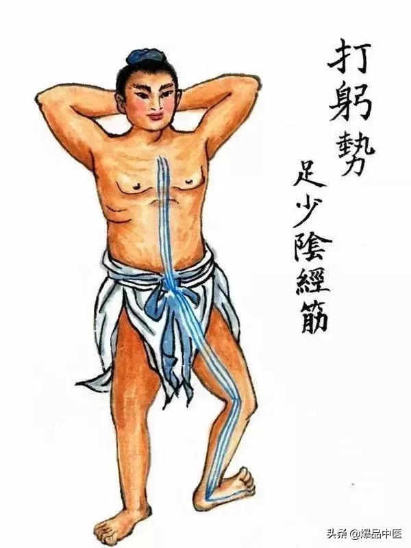 十二经筋连接动态图,十二经筋的图解