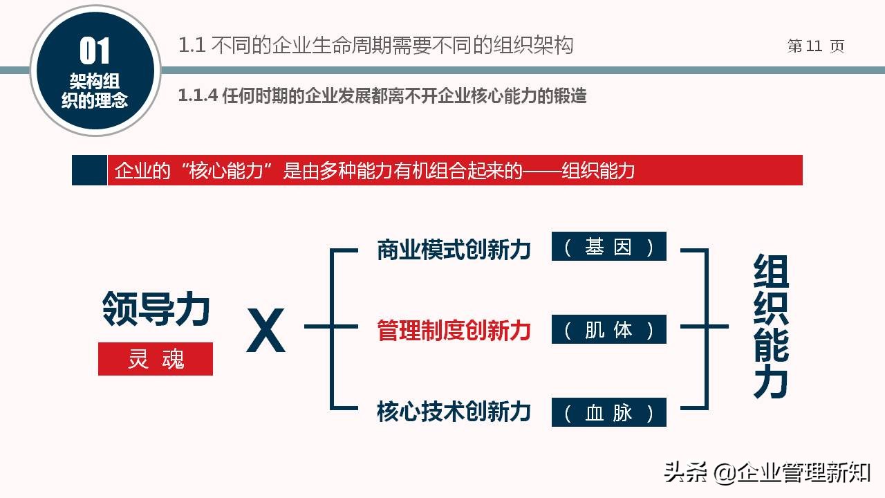 企业组织架构图设计全套,企业组织架构搭建及流程