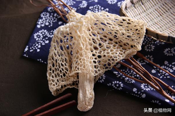 竹荪菌烹饪方法有哪些,菌中皇后竹荪的烹饪方法建议收藏
