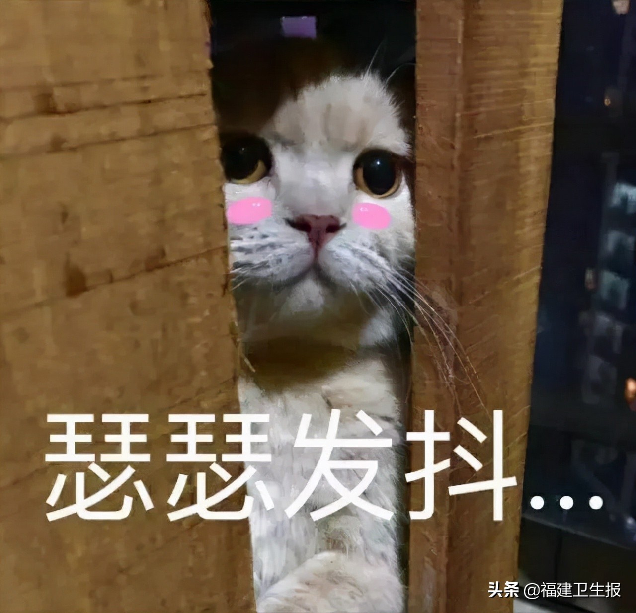 无法做胃镜如何确诊胃癌晚期,女性胃癌晚期胃镜