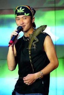 胡歌养的5只什么猫,胡歌的宠物猫