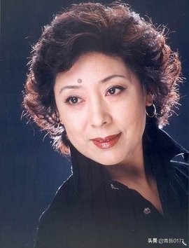 全国各省市明星分布图,河南地图与中国地图