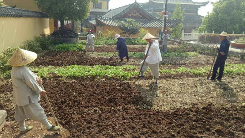 抢抓农时开展农业生产,农民纷纷抢抓春耕生产有利时机
