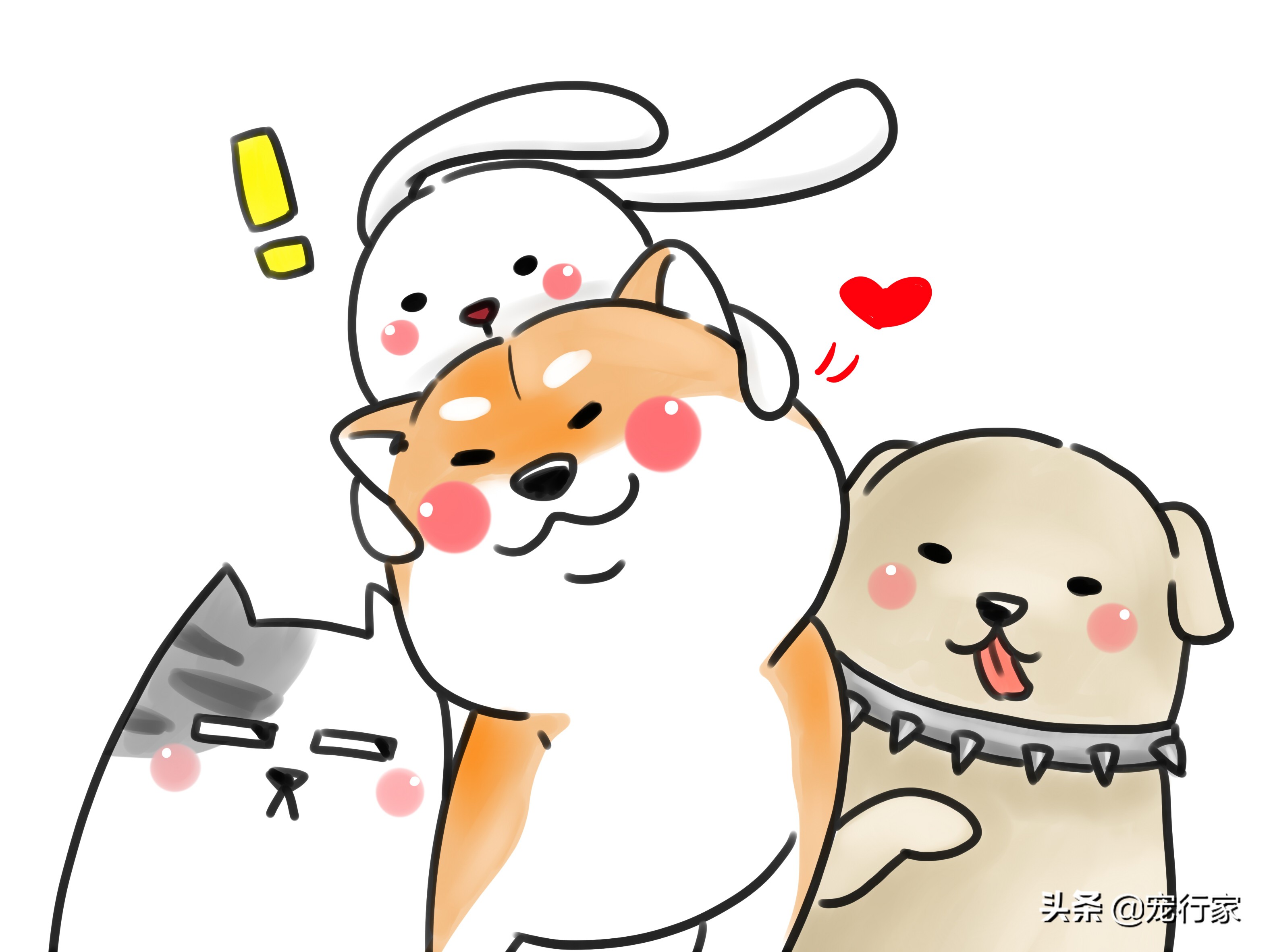 怎么对狗社会性训练,狗到底要怎么训练