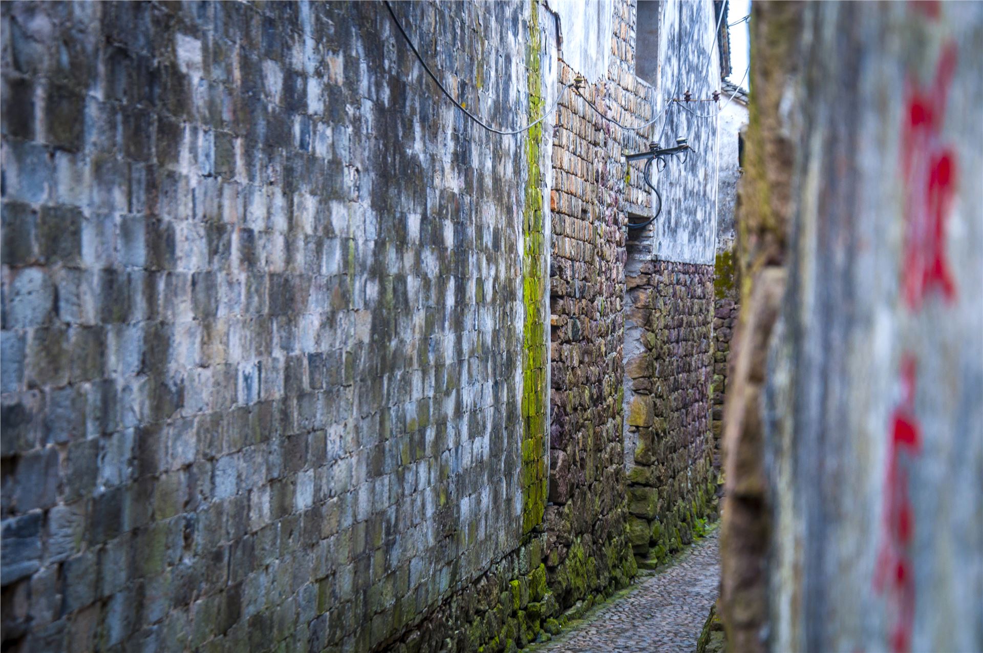 丹山赤水的老柿林景区,丹山赤水柿林古村