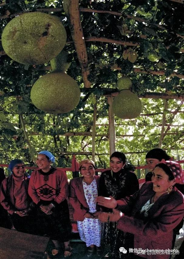 维吾尔族葫芦艺术品摆件,葫芦变身艺术品