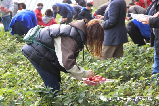 五菱凯捷旅行,五菱宏光凯捷自驾旅行