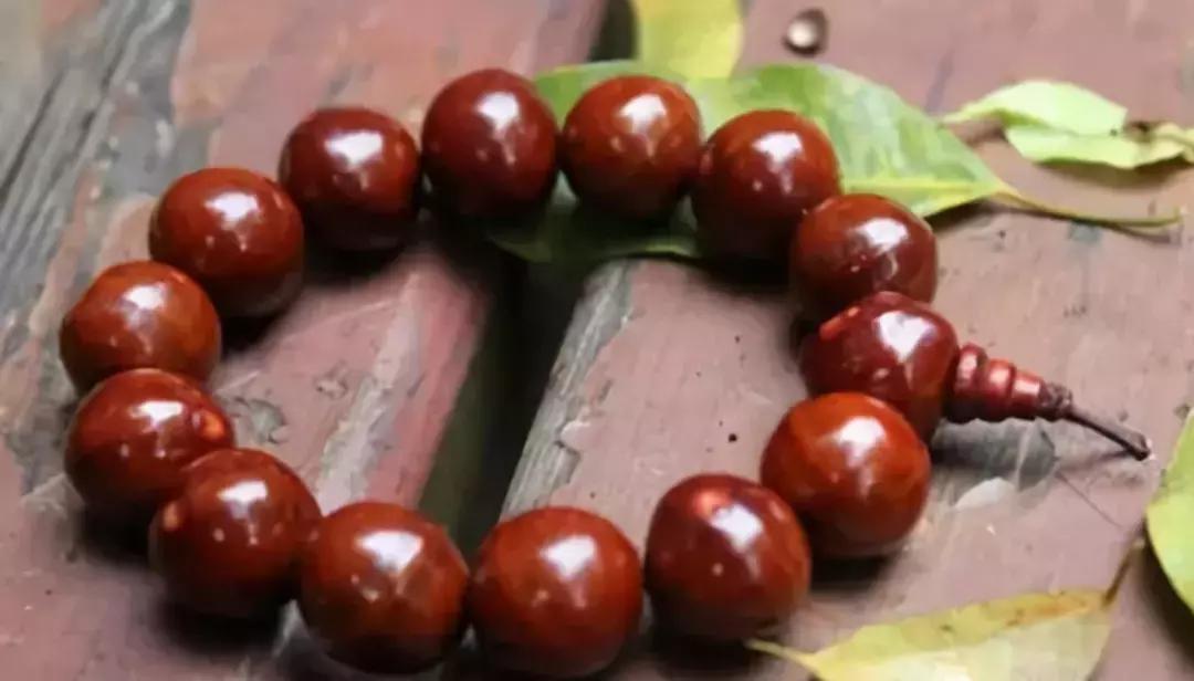 最全的菩提子图解太美了,最好的菩提子