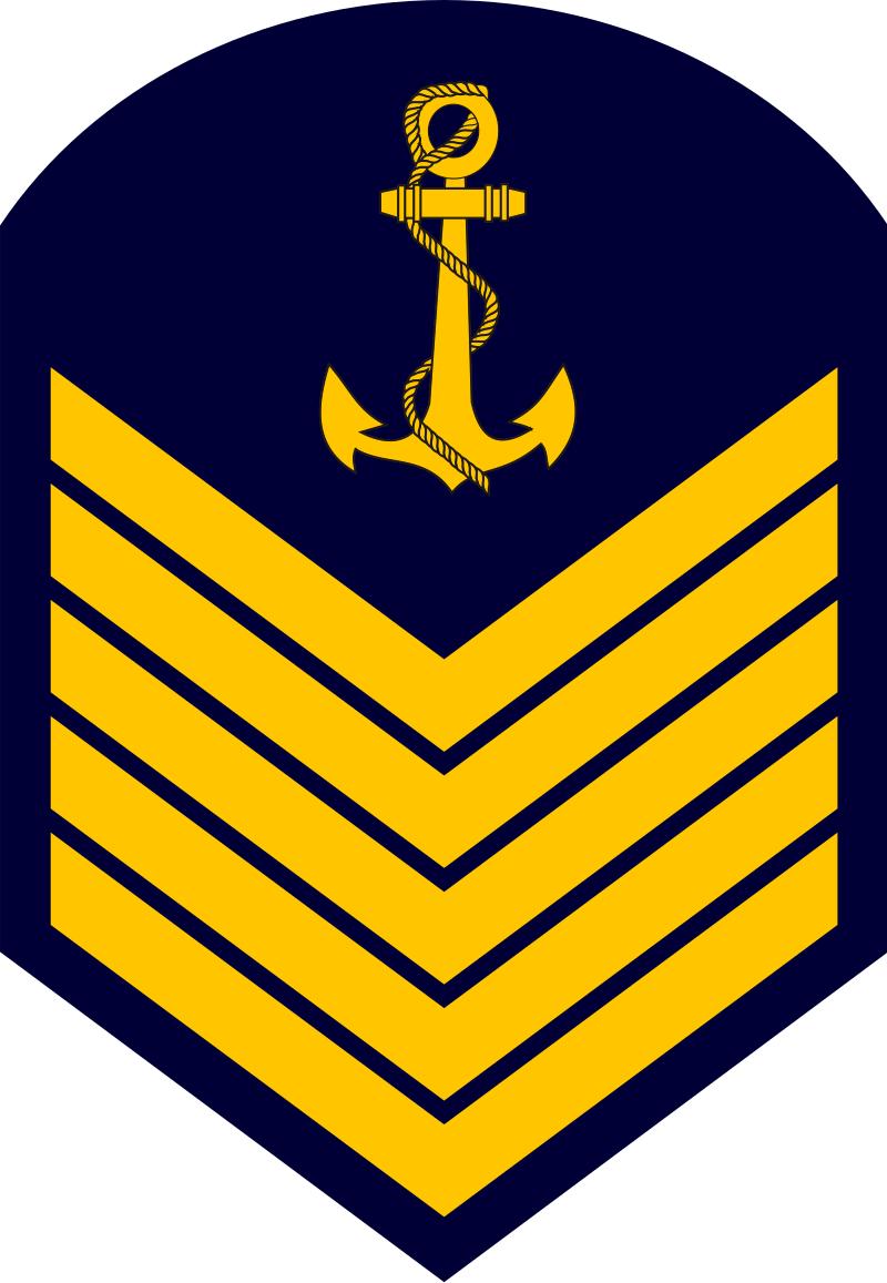 巴西军队标志,巴西海军军衔
